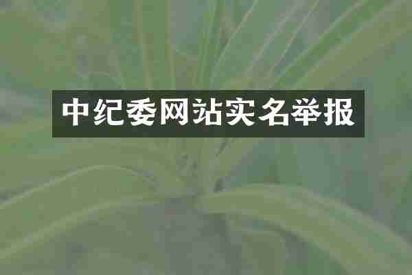 中纪委网站实名举报