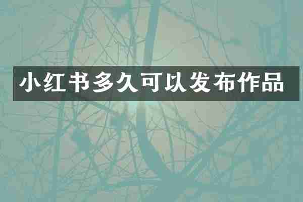 小红书多久可以发布作品