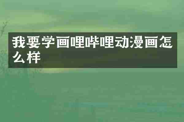 我要学画哩哔哩动漫画怎么样