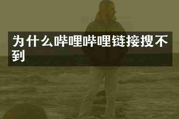 为什么哔哩哔哩链接搜不到