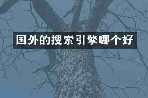 国外的搜索引擎哪个好