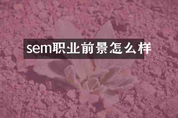 sem职业前景怎么样