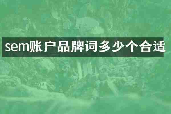 sem账户品牌词多少个合适
