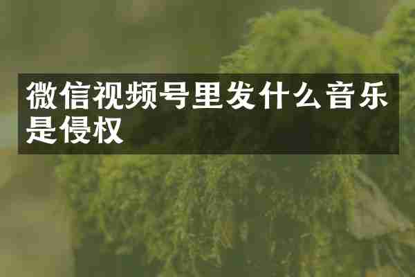微信视频号里发什么音乐是侵权