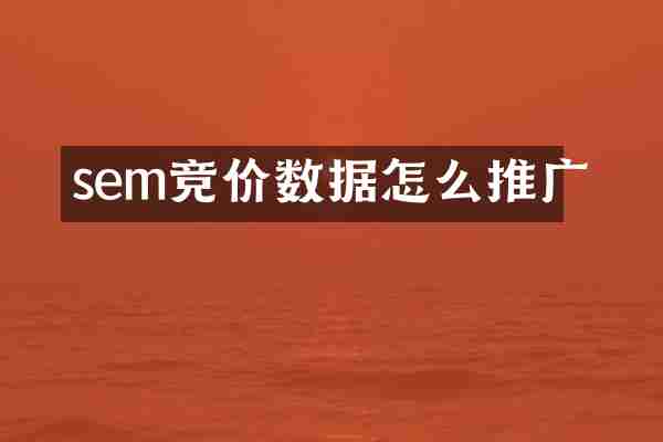 sem竞价数据怎么推广