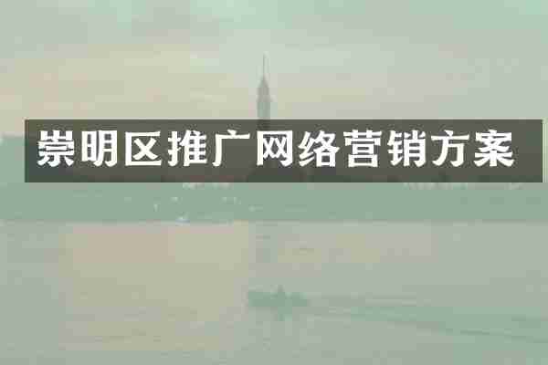 崇明区推广网络营销方案