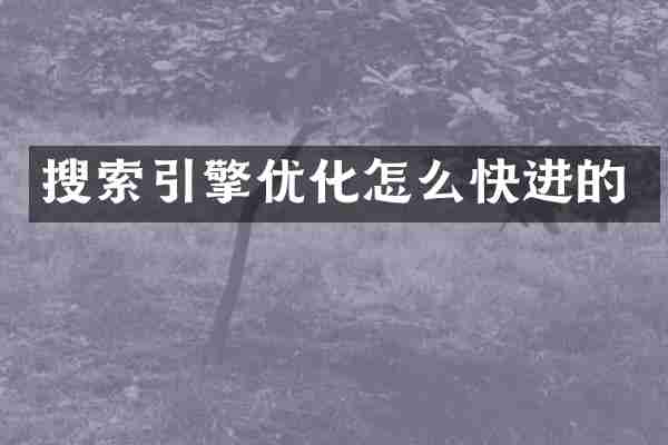 搜索引擎优化怎么快进的