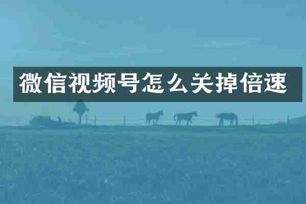 微信视频号怎么关掉倍速
