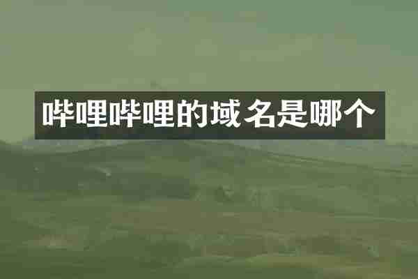 哔哩哔哩的域名是哪个