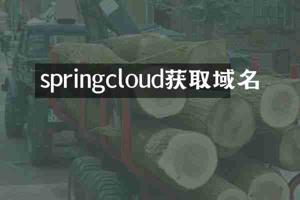 springcloud获取域名