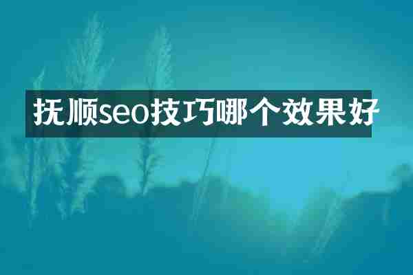 抚顺seo技巧哪个效果好