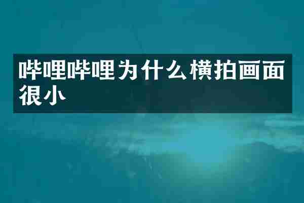 哔哩哔哩为什么横拍画面很小