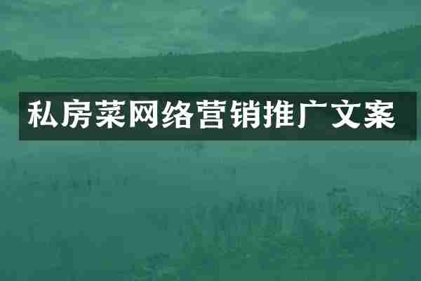 私房菜网络营销推广文案