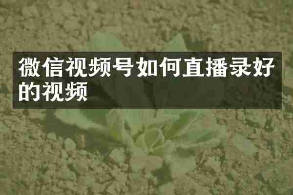 微信视频号如何直播录好的视频