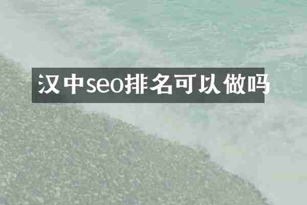 汉中seo排名可以做吗