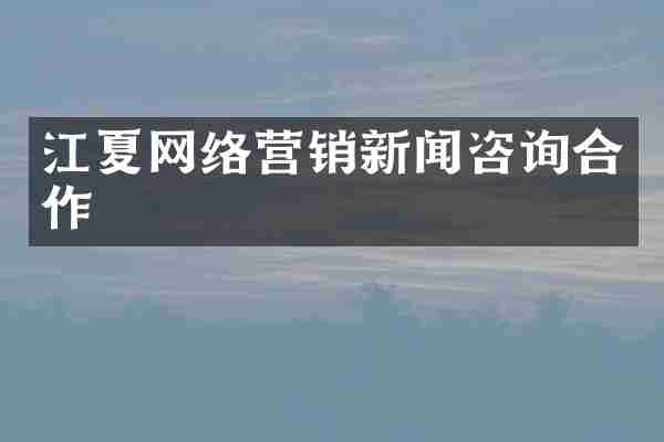 江夏网络营销新闻咨询合作