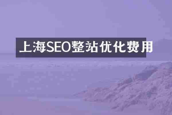 上海SEO整站优化费用