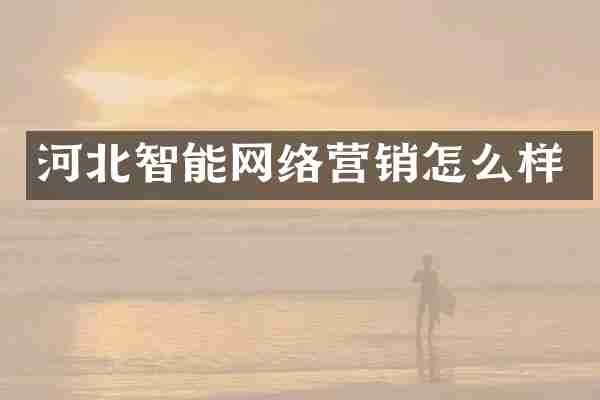 河北智能网络营销怎么样