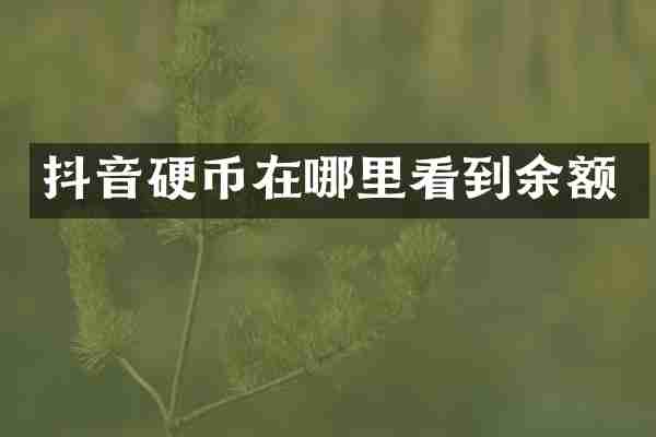 抖音硬币在哪里看到余额