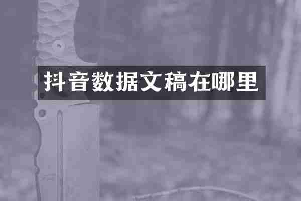 抖音数据文稿在哪里