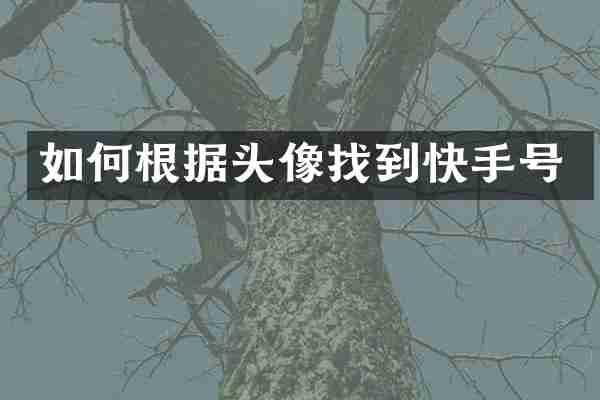 如何根据头像找到快手号