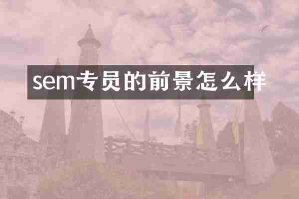 sem专员的前景怎么样