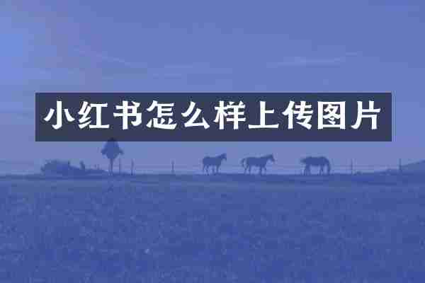 小红书怎么样上传图片