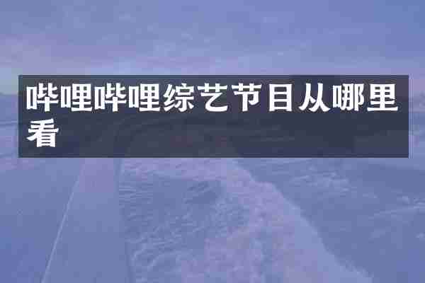 哔哩哔哩综艺节目从哪里看