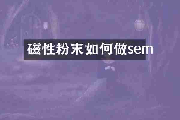 磁性粉末如何做sem