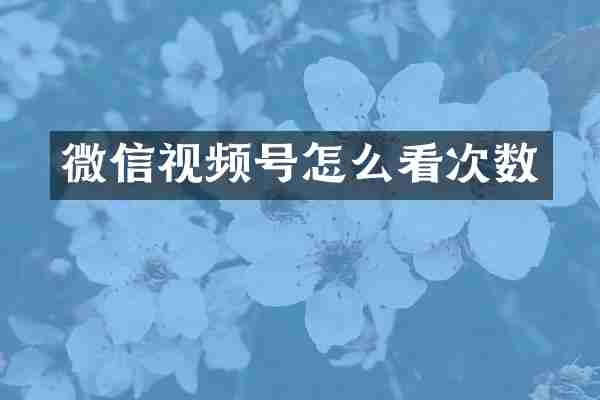 微信视频号怎么看次数
