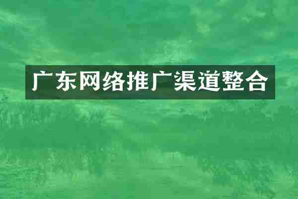 广东网络推广渠道整合