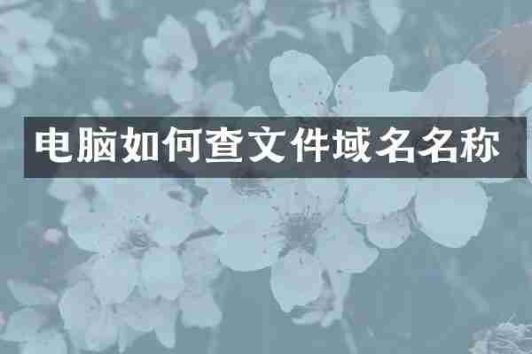 电脑如何查文件域名名称
