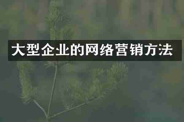 大型企业的网络营销方法