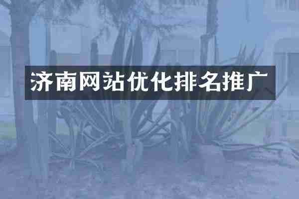 济南网站优化排名推广