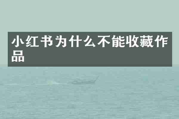 小红书为什么不能收藏作品