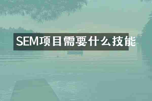 SEM项目需要什么技能