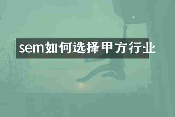 sem如何选择甲方行业
