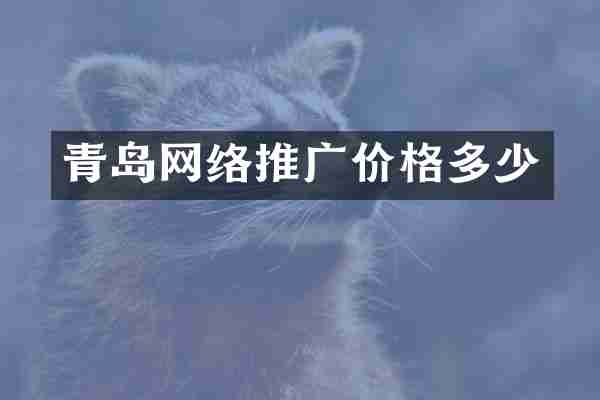 青岛网络推广价格多少