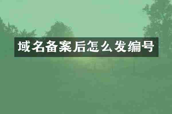 域名备案后怎么发编号