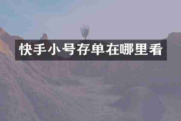 快手小号存单在哪里看