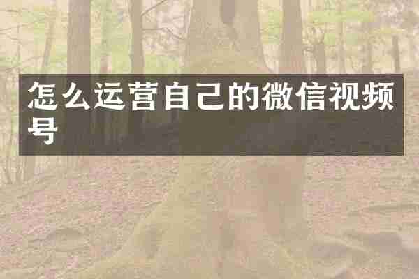 怎么运营自己的微信视频号