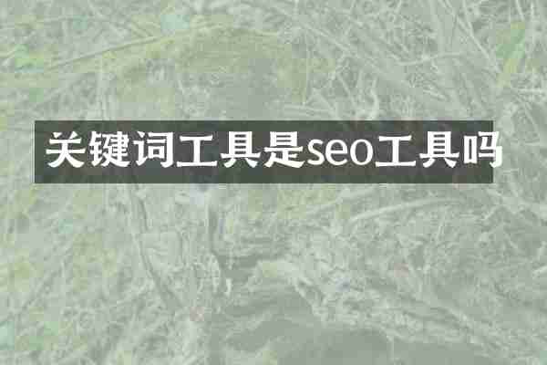关键词工具是seo工具吗