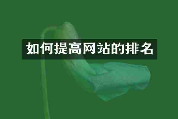 如何提高网站的排名