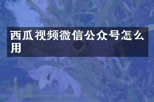 西瓜视频微信公众号怎么用