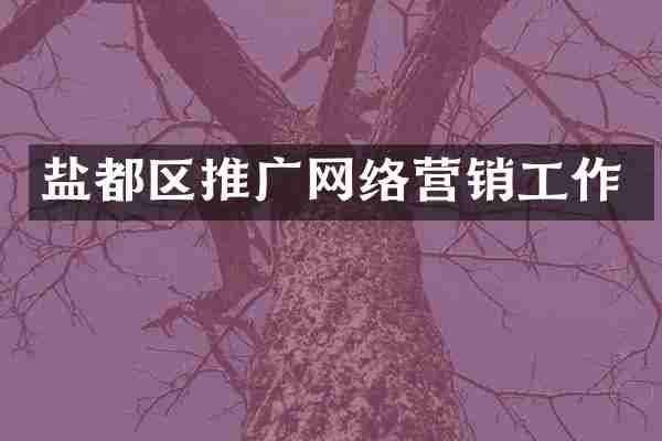 盐都区推广网络营销工作