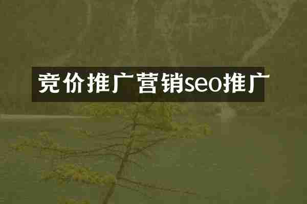 竞价推广营销seo推广