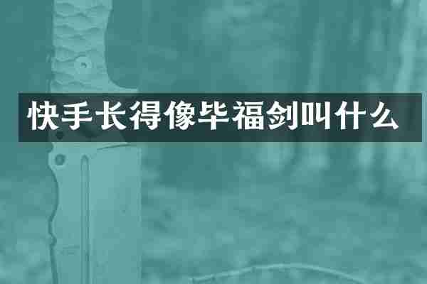 快手长得像毕福剑叫什么