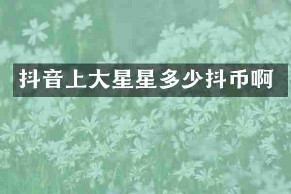 抖音上大星星多少抖币啊