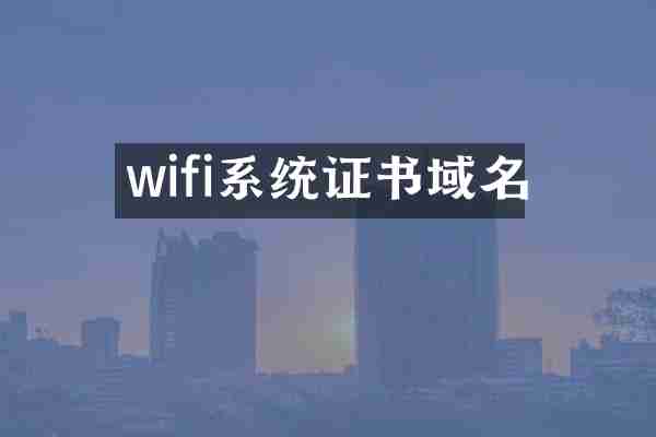 wifi系统证书域名
