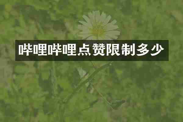 哔哩哔哩点赞限制多少